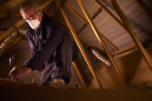 Best Residential Insulation in Vardaman, MS