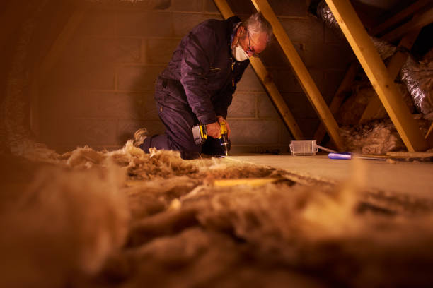 Best Commercial Insulation in Vardaman, MS